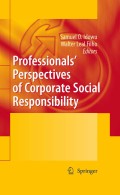 Professionals perspectives of corporate social responsibility