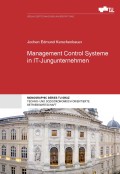 Management control systeme in IT-jungunternehmen