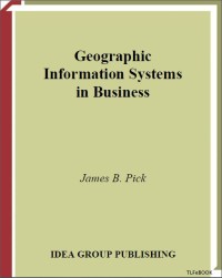 Geographic information systems in business