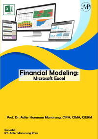 Financial Modeling : Microsoft Excel