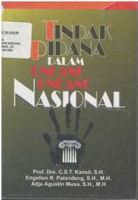 Tindak Pidana dalam Undang-Undang Nasional