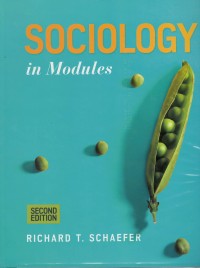 Sociology in moduls