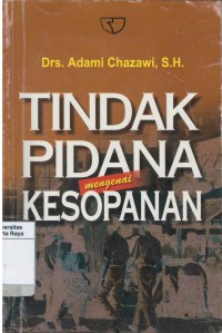 Tindak pidana mengenai kesopanan