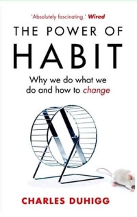 Image of The power of habit : why we do what we do and how to change