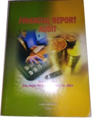Financial report audit